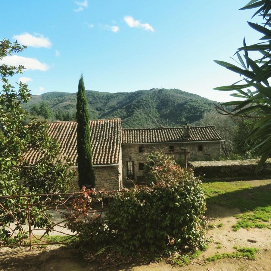Vila Gite Pommier Au Chateau Des Pauses Saint-André-de-Majencoules Exteriér fotografie