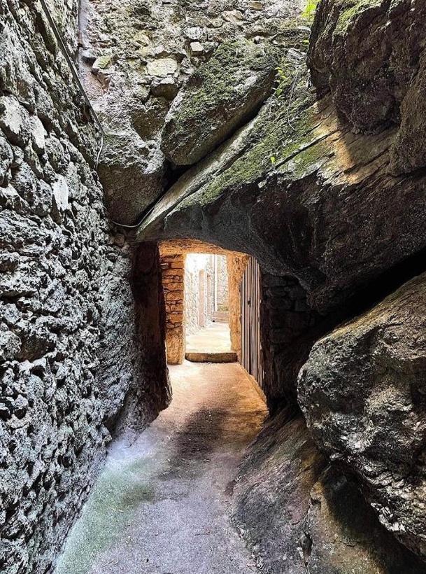 Vila Gite Pommier Au Chateau Des Pauses Saint-André-de-Majencoules Exteriér fotografie